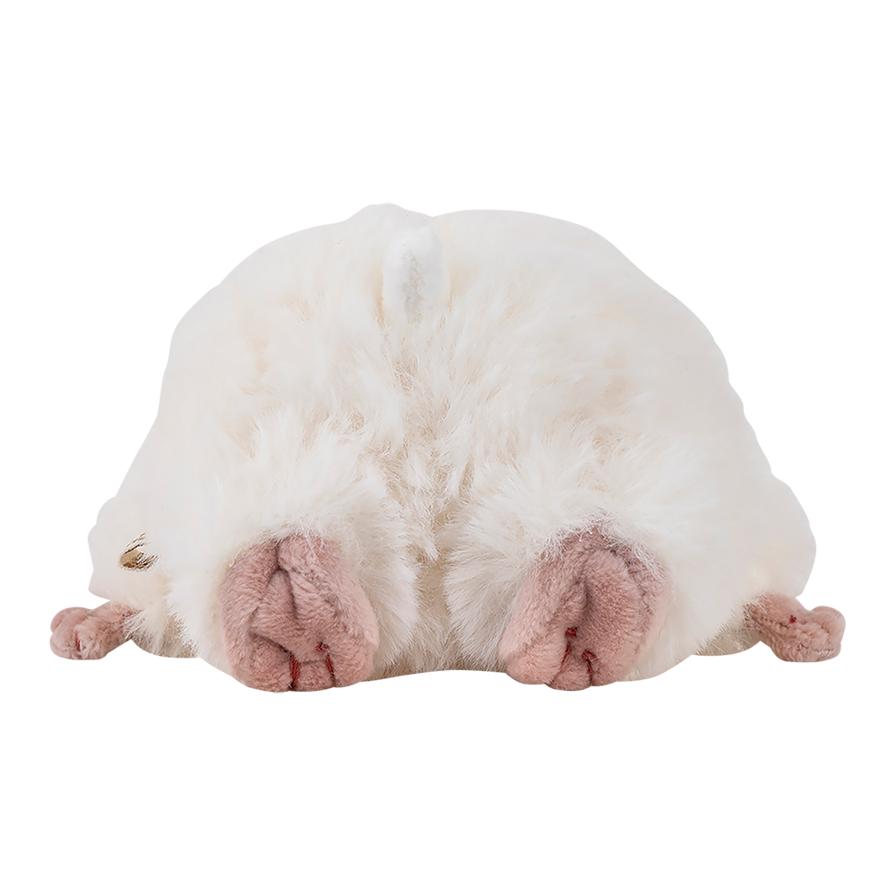 �Ϥ�ˤ��ꡡ�ޥ����åȡ����������ͽ��