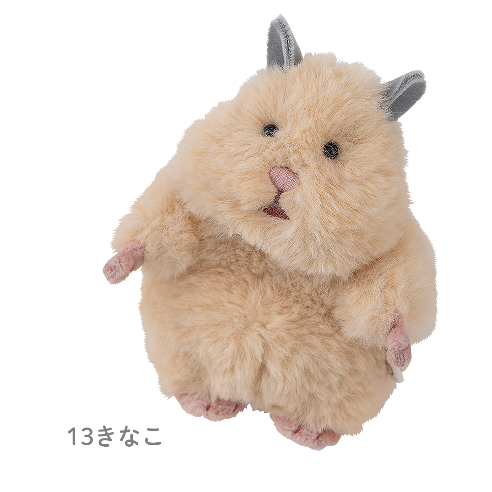 �Ϥ�ˤ��ꡡ�ޥ����åȡ����������ͽ��