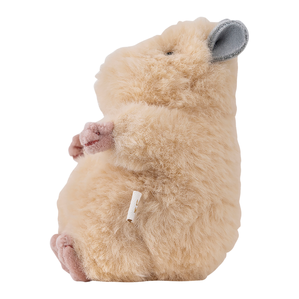 �Ϥ�ˤ��ꡡ�ޥ����åȡ����������ͽ��