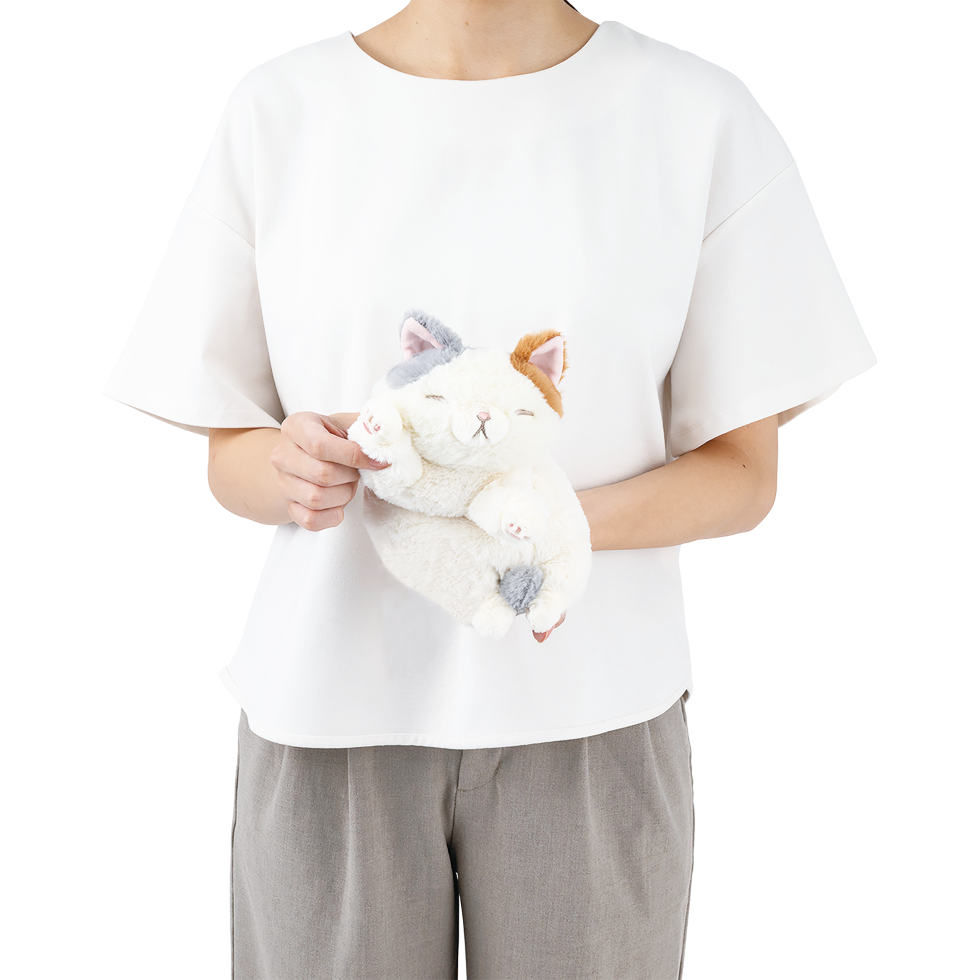 �����äȤӤ�ꡡ�ߥ˥��å����