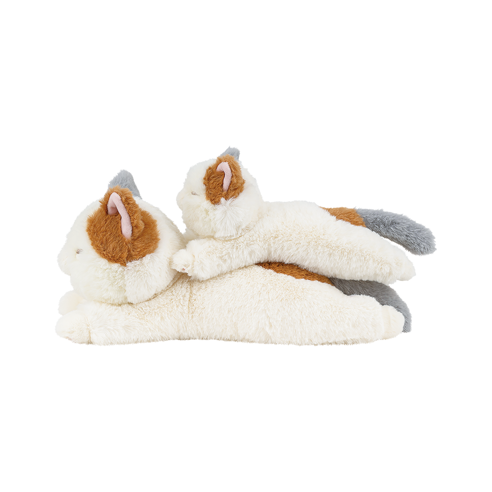 �����äȤӤ�ꡡ�ߥ˥��å����