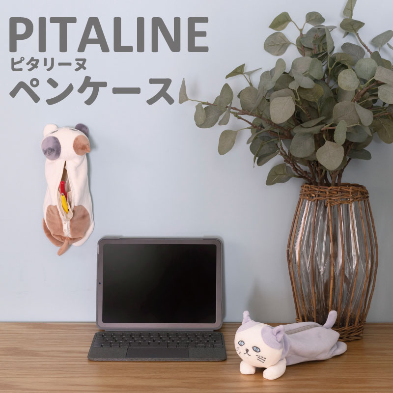 �ԥ��꡼�̡��ڥ󥱡���