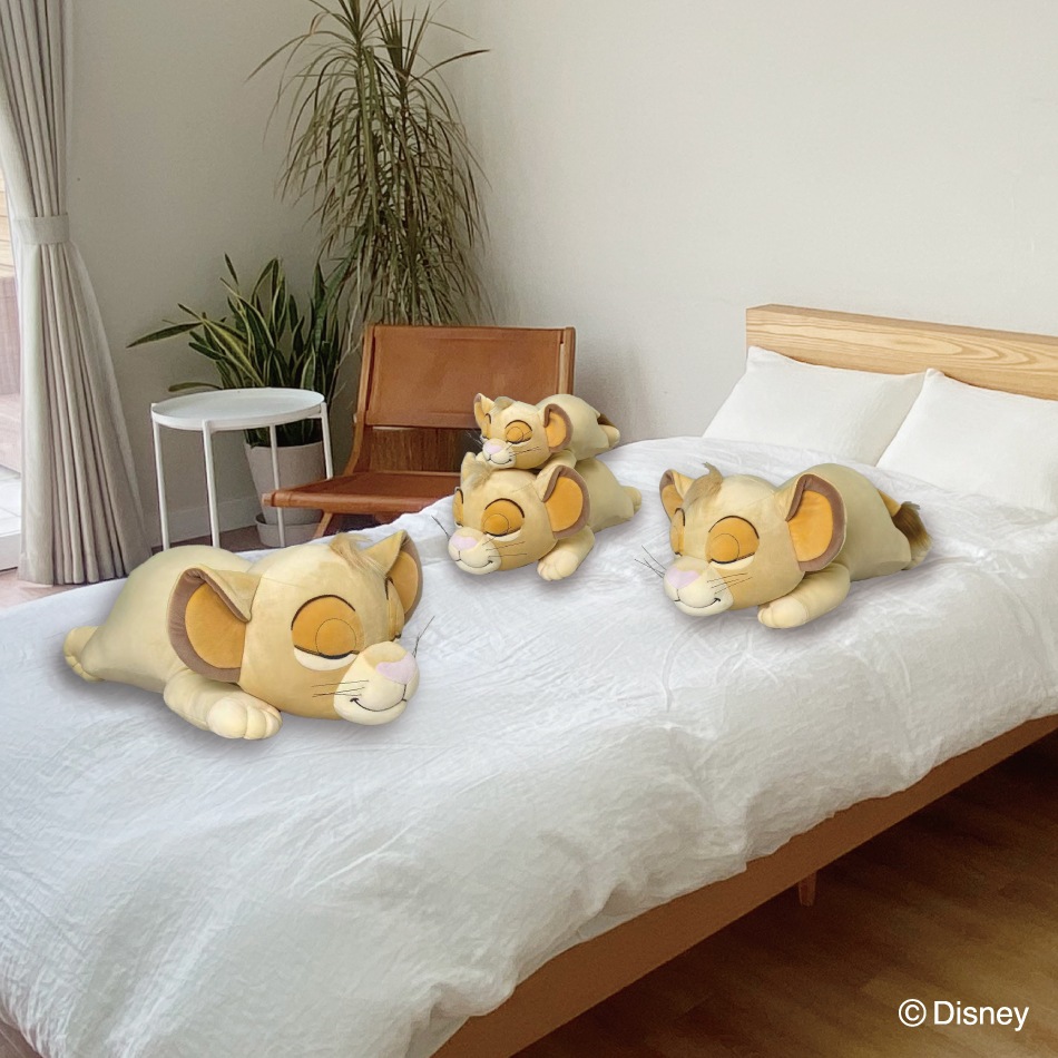 �ǥ����ˡ����쥯����󡡥���ϥ��������ޤ���L������