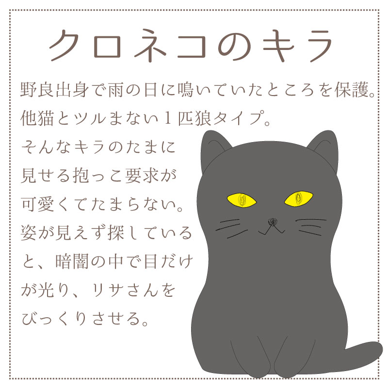 �ԥ��꡼�̡�����åץۥ������sale��