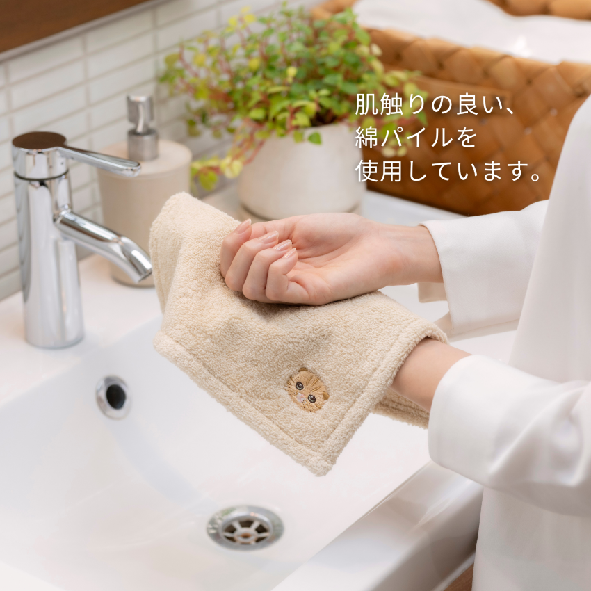 �ˤ�󤫤����ϥ󥫥�������