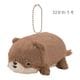 ���դˤ㡡�ޥ����å�