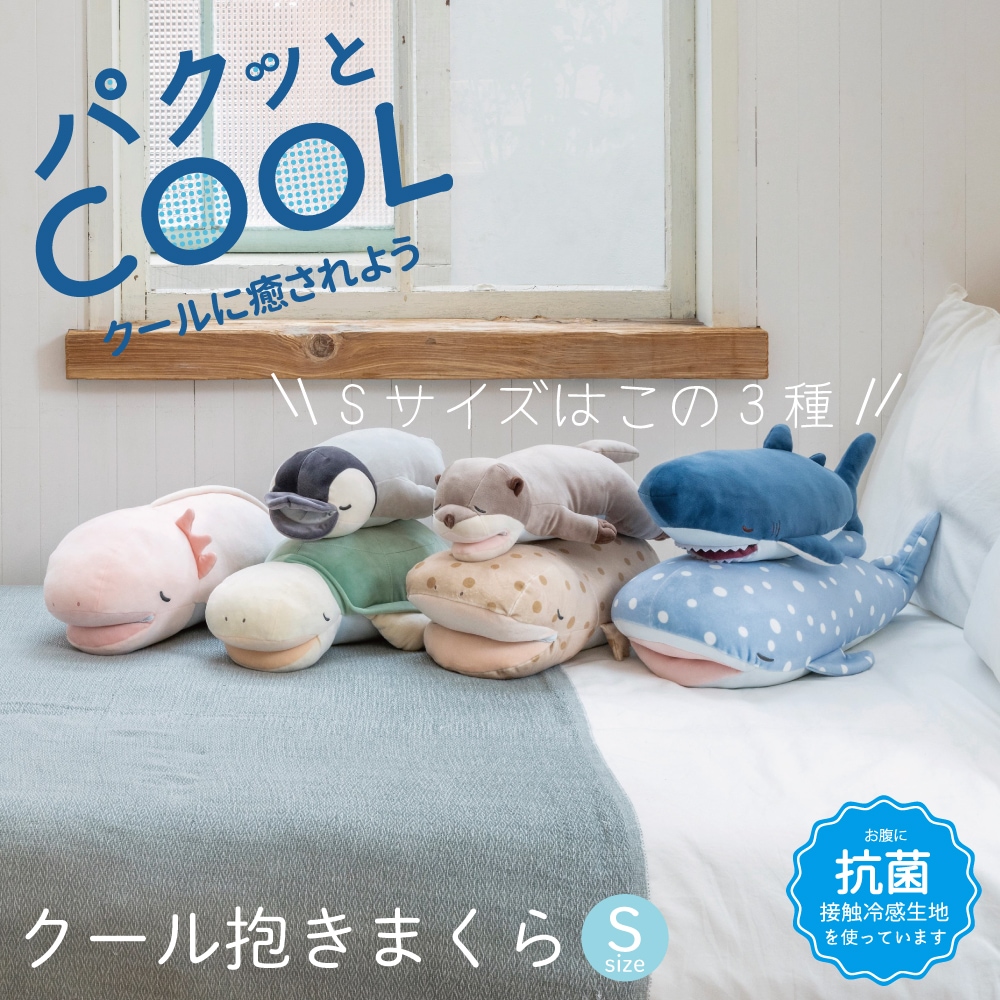 �ѥ��ä�COOL�������������ޤ��顡S������