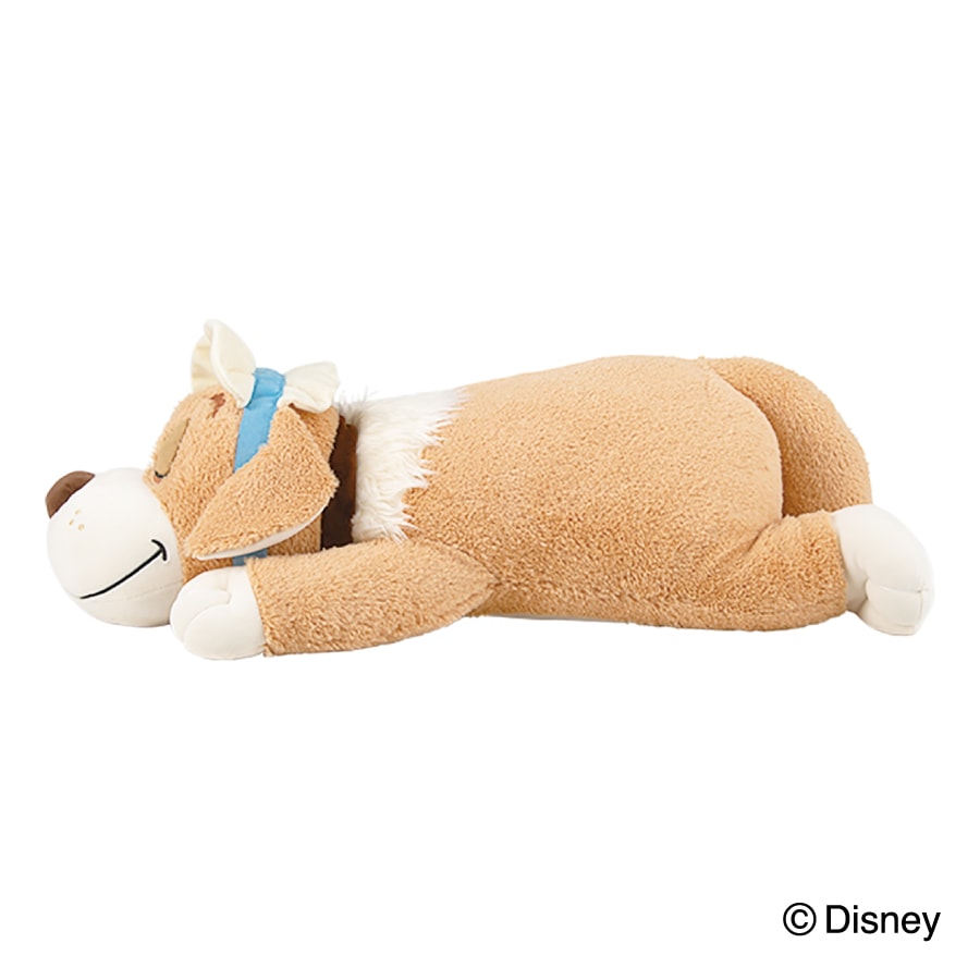 �ǥ����ˡ����쥯����󡡥���ϥ��������ޤ���L������