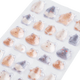 ��֥��졡CANDY�����롡6�異�����ȥ��å�