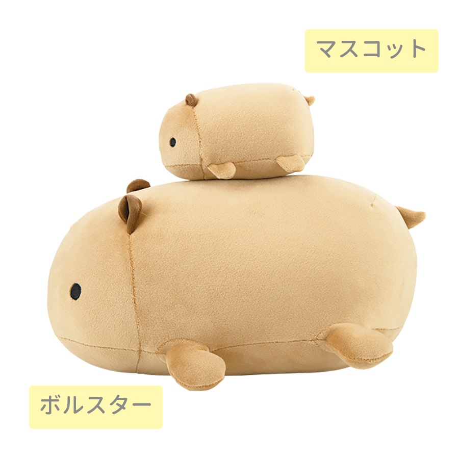 �����ߥ����ܥ륹�������å�����sale��