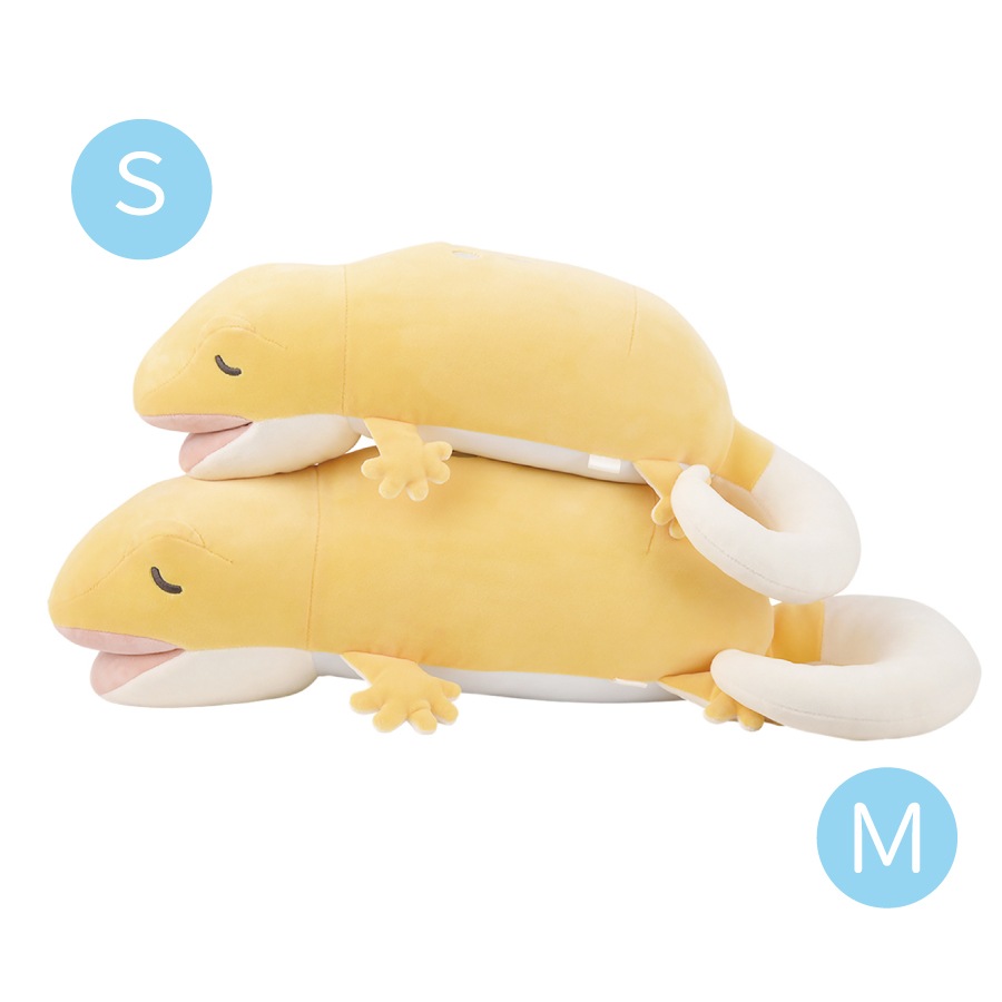 �ץ�ߥ���ͤ�ͤॢ�˥ޥ륺�����फ�ॺ�������������ޤ���M������