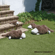 �ࡼ�ߥ󡡥���ϥ��������ޤ���M������