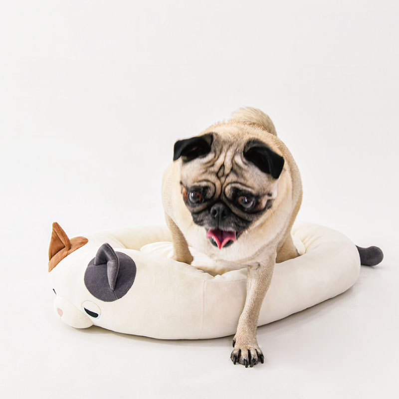 �ե�����ڥåȡ��ޥ���ޥ��������åȥ٥å�