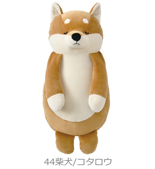 �����������ĥܲ������å����