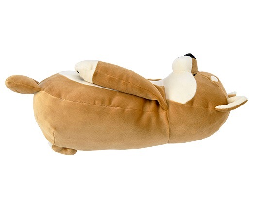 �����������ĥܲ������å����