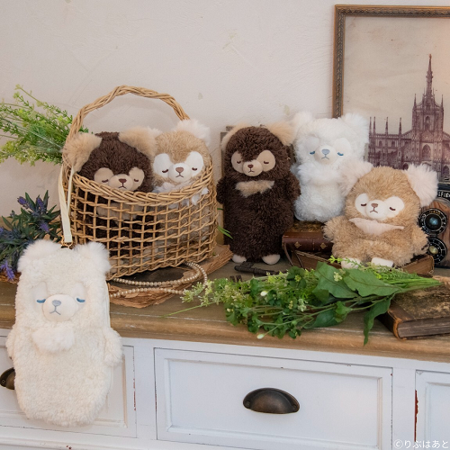 �⥳�ե�󥺡������sale��