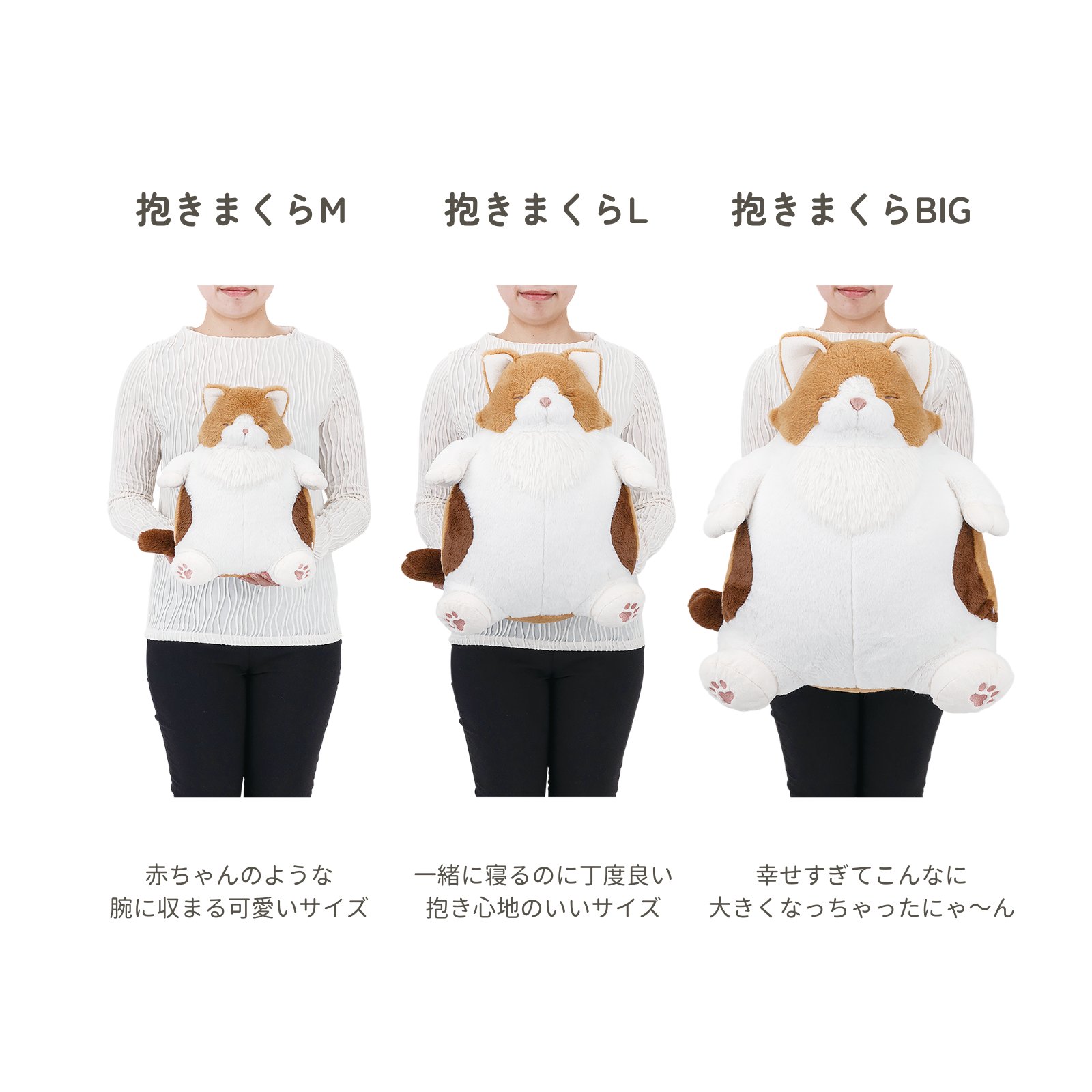 �ͤ����괶 �����ޤ���BIG�����������̸���ǥ������