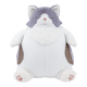 �ͤ����괶 �����ޤ���BIG�����������̸���ǥ������
