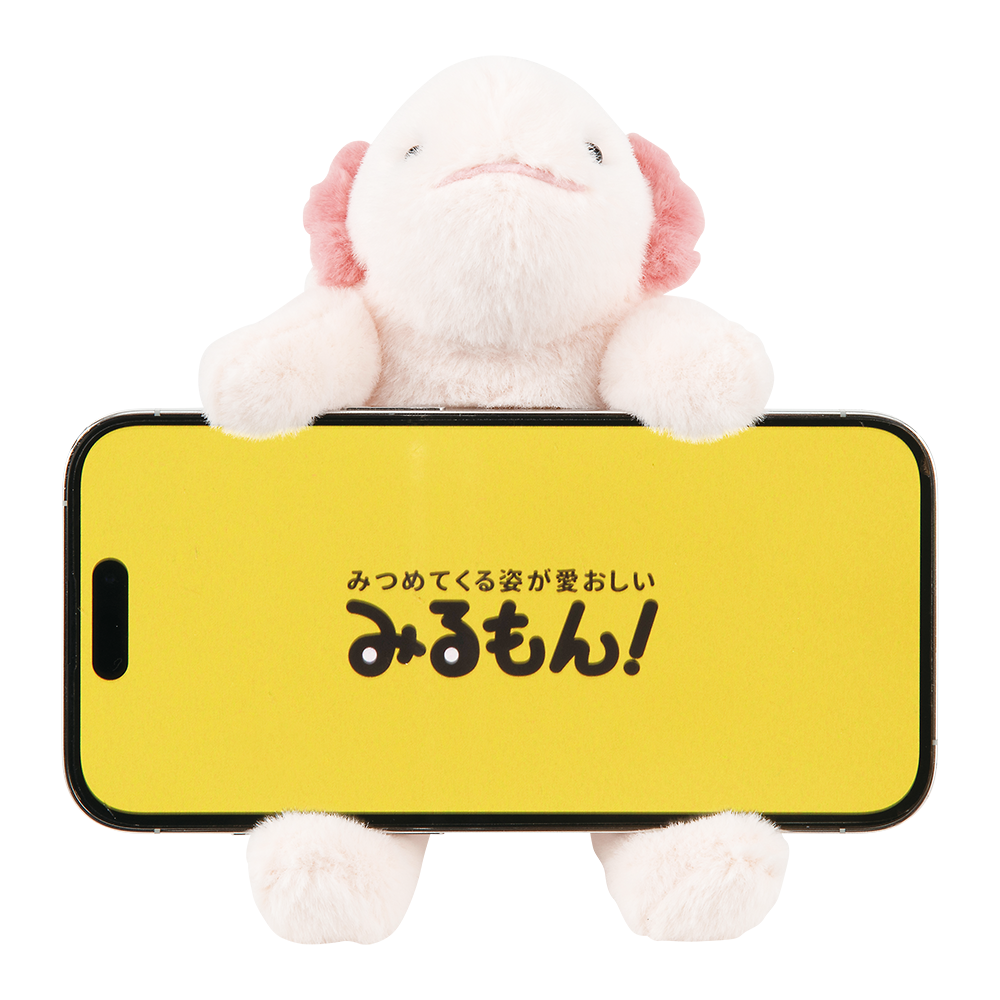 �ߤ��󡡤��Ǥ������ޥۥ������