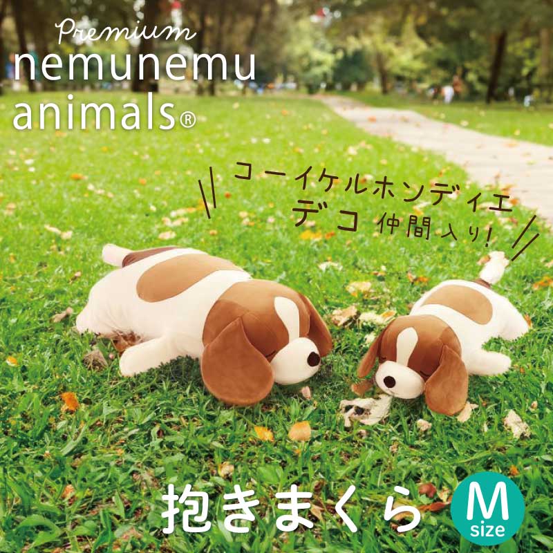�ץ�ߥ���ͤ�ͤॢ�˥ޥ륺�������ޤ���M������