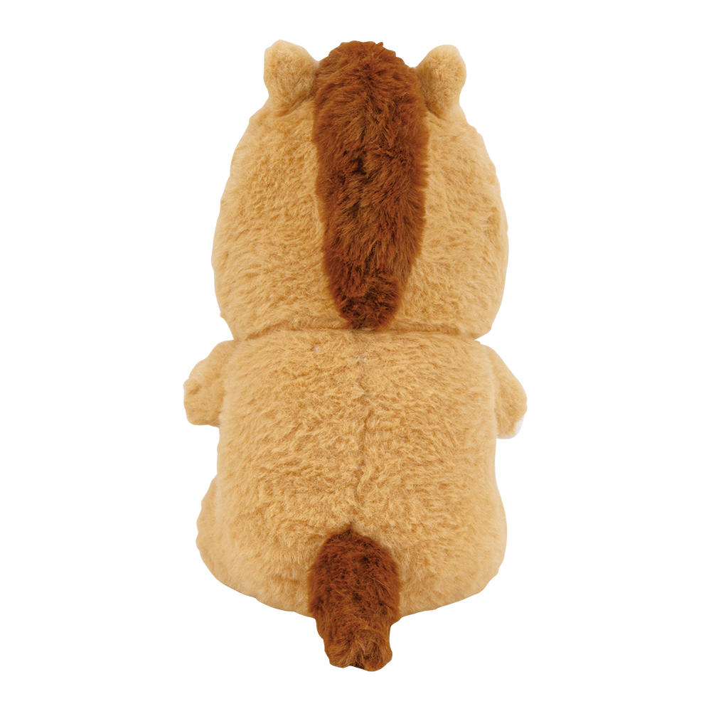 ץߥͤͤॢ˥ޥ륺աɤ¤ޤSҴ2026