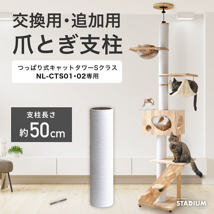 �ޤȤ����� �������ޤȤ������� ľ��12cmĹ��50cm