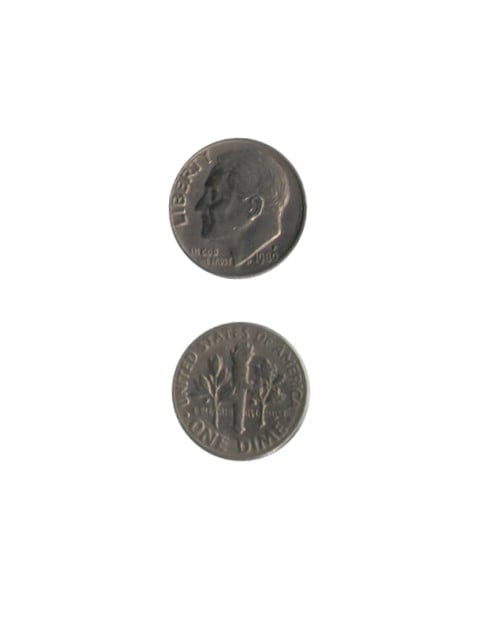 コイン / アメリカ / 10セント / 通常貨 / ルーズベルト / UNC (未使用) / 18mm