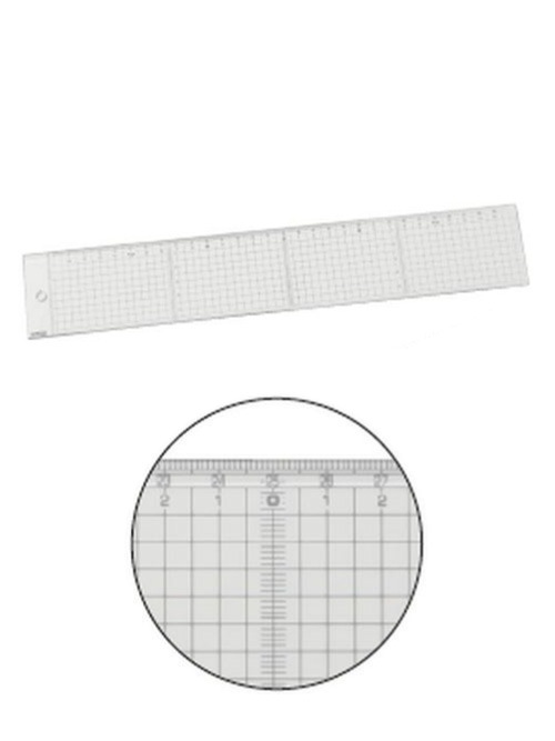 方眼スケール/30cm [協進エル]