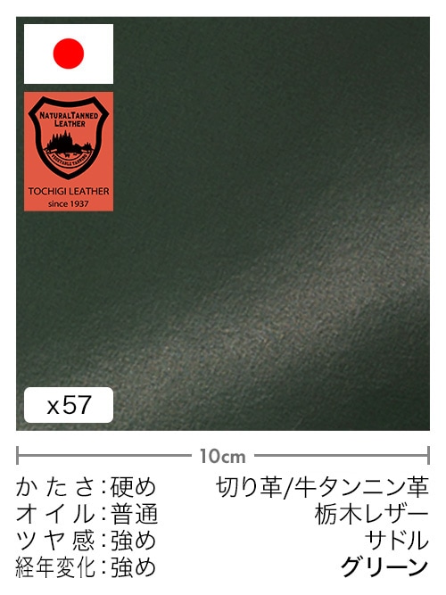 【30cm幅切り革】牛タンニン革 / 栃木レザー / サドル (グリーン)