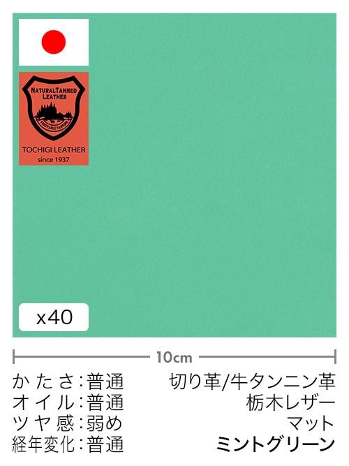 【30cm幅切り革】牛タンニン革 / 栃木レザー / マット (ミントグリーン)