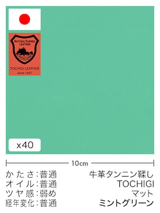 【切り革】牛革タンニン鞣し / 栃木レザー / マット (ミントグリーン)