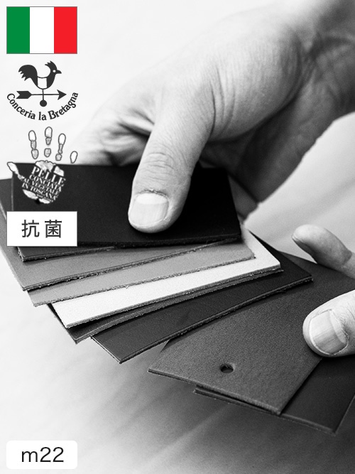 【名刺サイズ】牛革タンニン鞣し / Bretagna / アリゾナ (全13色)