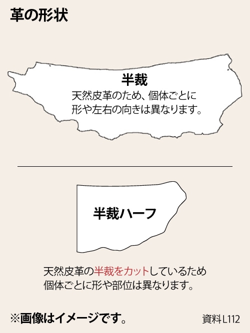 体型、補正、裁断 600.jpg