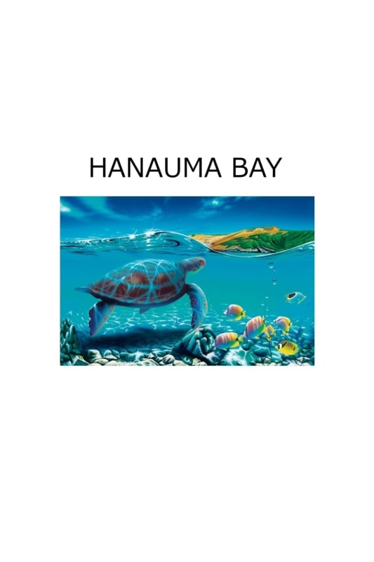  HANAUMA BAY S