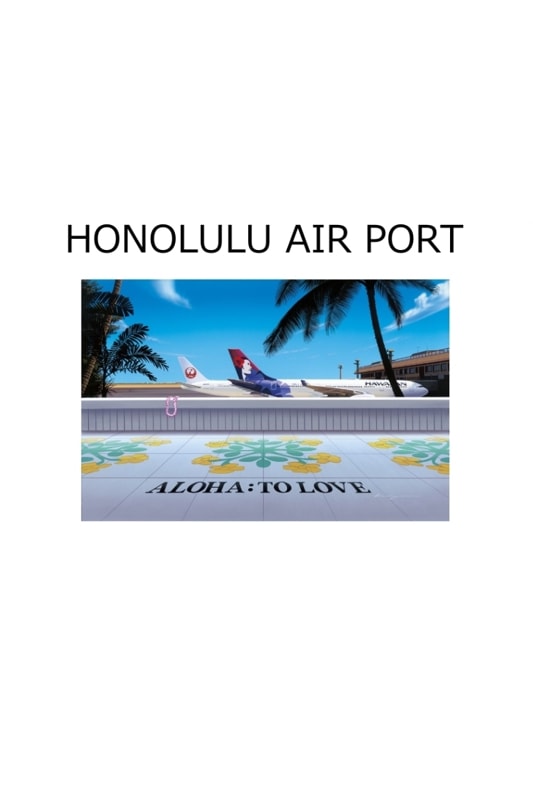  HONOLULU AIR PORT S