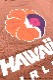 HAWAIIAN AIRLINES LM LIMITED LONG TEE