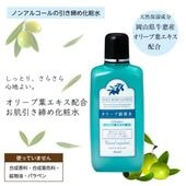 オリーブ銀葉水