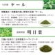国産有機青汁 2箱セット