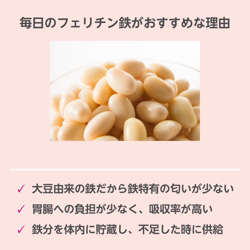 ［ポスト投函］毎日のフェリチン鉄