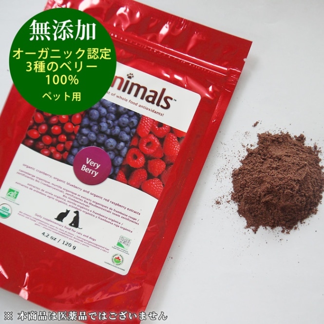 ����˥ޥ륺 �٥꡼�٥꡼ ñ�� (120g) �� ǭ �ڥå��� �������˥å� �٥꡼100% �ʥ����٥꡼���饺�٥꡼���֥롼�٥꡼�� ��̣����2026ǯ11�� �ڥ���˥ޥ륺����͢������Ź������������