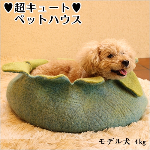ヒマラヤチーズ登録商標 ロアジス直営ショップ 愛犬・ペットのための
