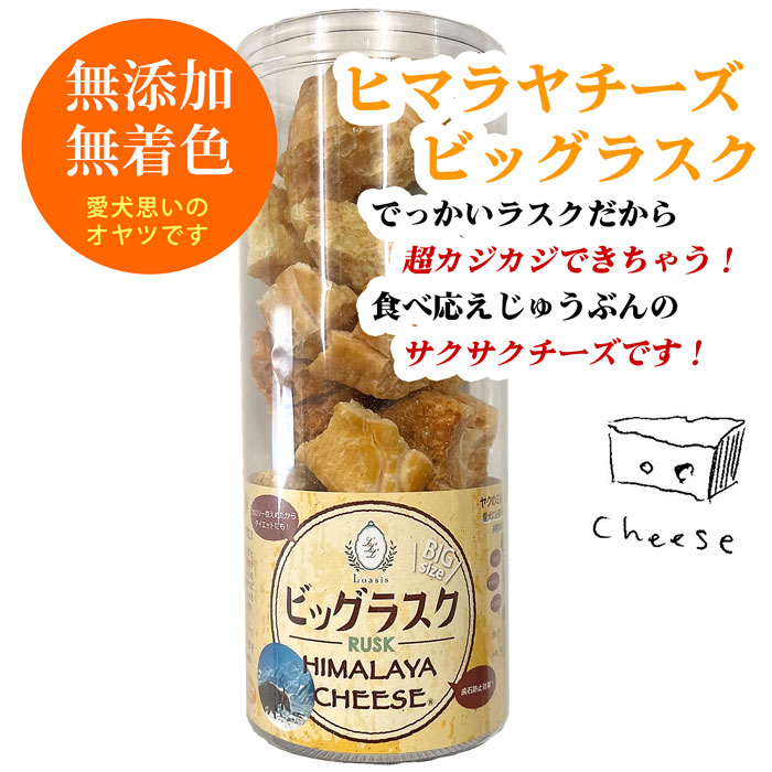 �ҥޥ������� �ڥӥå��饹���۸� �ڥå��� ����� ̵ź�� ���ꥫ�� ������100% �㥫���꡼ �礭�ʥ饹�� ����­�Υ��������� ���������ȥ꡼�� ��������������