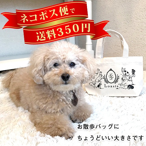 ������Хå� �ڥ������������ۡڥ����Х� �ߥ˥ȡ��ȡۡڥȡ��ȥХå���