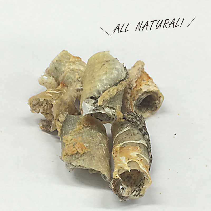 í���å� �ߥ˥ѥå� (��15g) ��γ2cm���餤�ǿ��٤䤹�� ���� ǭ�� ̵ź�ä���� �������㡼���� í ���� ̵�忧 �᡼����OK