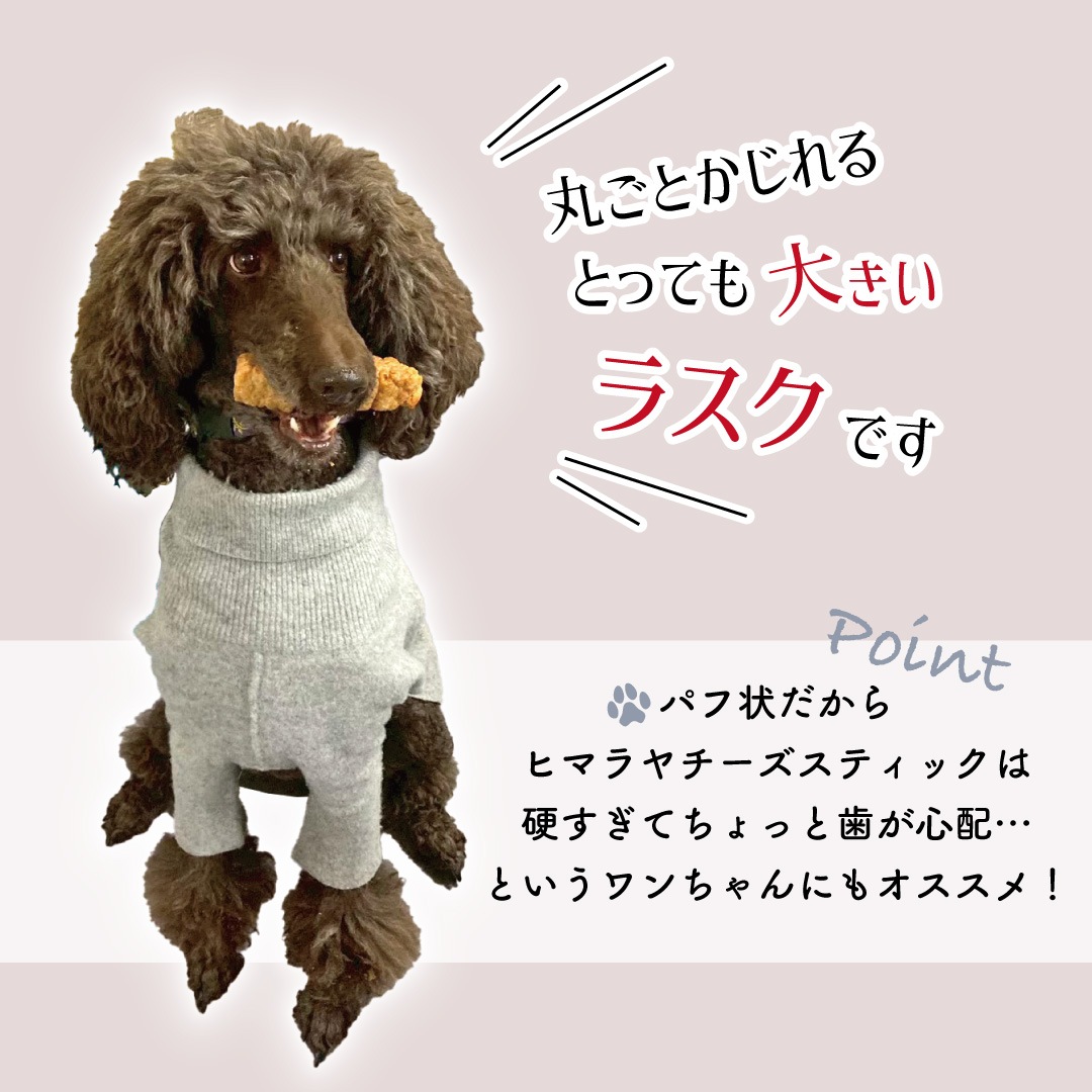 �ҥޥ������� ��SUPER�ӥå��饹���۸� �ڥå��� ����� ̵ź�� ���ꥫ�� ������100% �㥫���꡼ �礭�ʥ饹�� ����­�Υ��������� ���������ȥ꡼�� ��������������