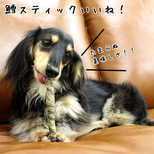 í���ƥ��å�1�����ꡡ����˺�Ŭ���ʾ�̣���¡�25ǯ3�����˰�����ߤĤ���������������������Ģ����᡼����OK