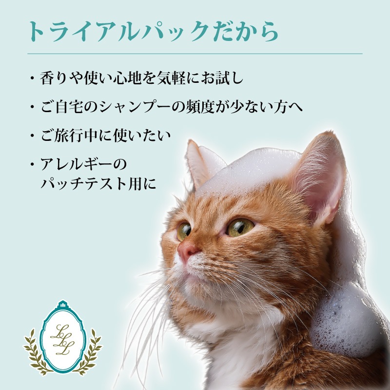 �ڥȥ饤����ѥå��۰�ǭ�ѥ����ס� (18ml ��5�ܴ���OK) ���̥ѥå��ǵ��ڤˤ�� �Ӥ�Ƥ�¿� ��ʪ�� ŷ������ ��ɷ� �����Ϲ������̳������Ի��� ��������SPA �ڥå��ѡ�Loasis SPA��