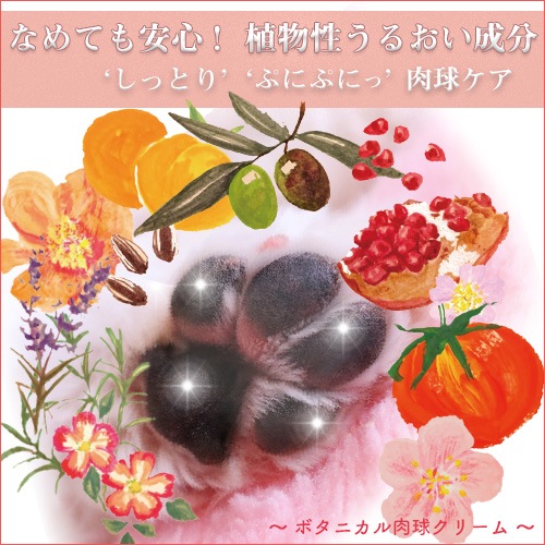 �ڥܥ��˥������奯�꡼�ࡦ����塼�� 30g�� �� ǭ ���� ���奱�� ��ʪ�� �Ӥ�Ƥ�¿� ���˥� �ݼ� ��Ф� ��٥�����������۹� �����������᡼����OK��Loasis SPA��