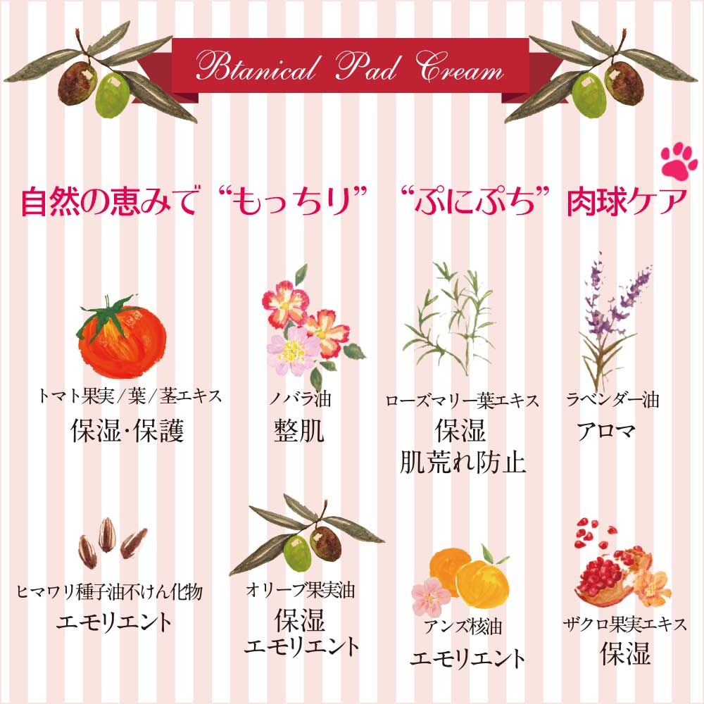 �ڥܥ��˥������奯�꡼�ࡦ����塼�� 30g�� �� ǭ ���� ���奱�� ��ʪ�� �Ӥ�Ƥ�¿� ���˥� �ݼ� ��Ф� ��٥�����������۹� �����������᡼����OK��Loasis SPA��