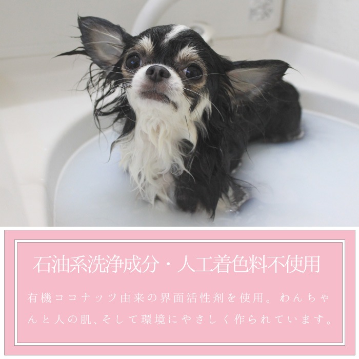 ����ȯ�䡿�ڥåȤ������ܥǥ����� 3�糧�åȡڥ�٥�����ۤޤȤ��㤤������ ���ѥե쥰���(1�� 100ml)�������ס�������ǥ�����ʡ�(��1�� 150ml ��5�ܴ���OK) �ž夬��Ĥ�䤫 �Ӥ�Ƥ�¿� ŷ������ �������˥å��ϡ����۹� ��ɷ� �˥����к� ����̵��